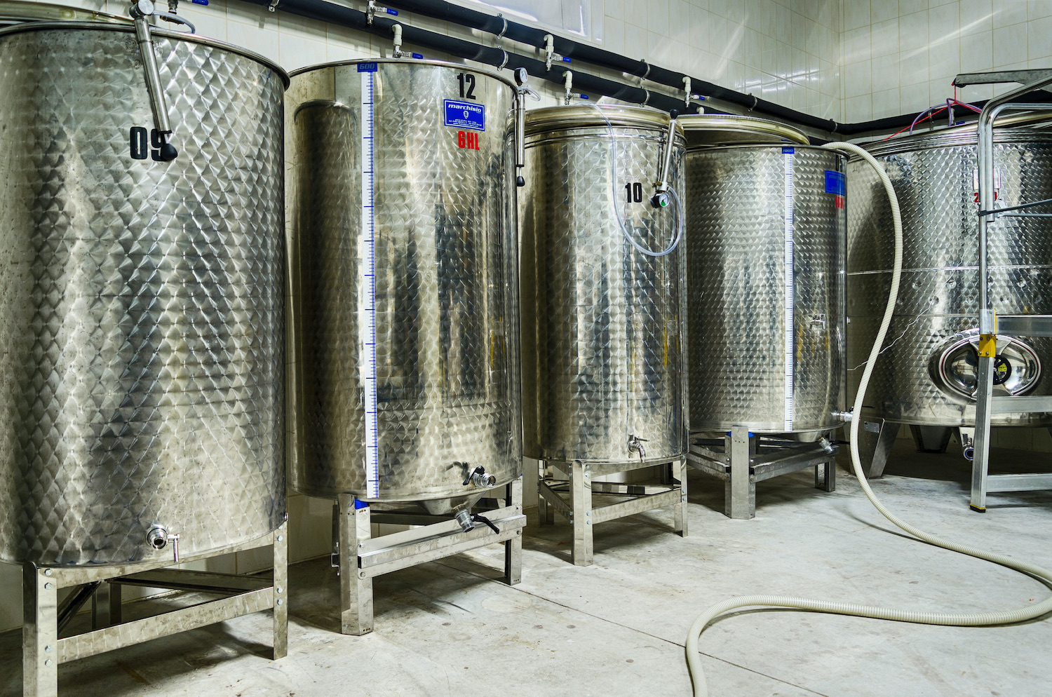 Vinársky slovník: Viete čo je cuvéé, assemblage alebo coupage? | regioWine