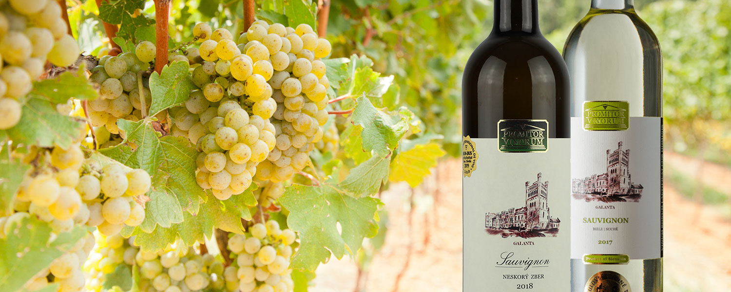 Aké víno ochutnať v máji? Inšpirujte sa Medzinárodným dňom odrody Sauvignon Blanc | regioWine